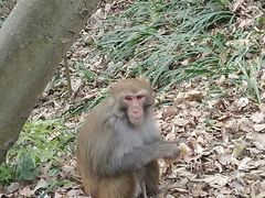 -黔灵山公园-南门售票处