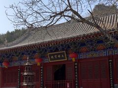 -青龙山生态文化旅游区(慈云寺)