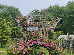 -太阳宫公园