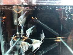 -宠物世家(仲盛世界商城店)