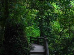 -青城山