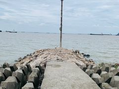 -上海滨江森林公园