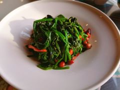 老醋菠菜-巴依老爷新疆美食(马驹桥店)