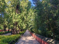 -国家植物园南园