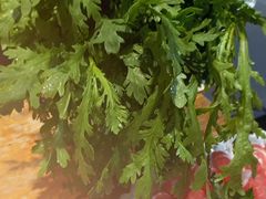 -草原塞蛮羊火锅城(港湾店)