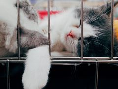 -福田农产品批发市场有限公司蔬菜交易区