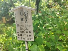 -天龙寺