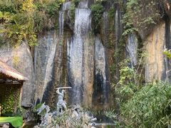 -西双版纳原始森林公园