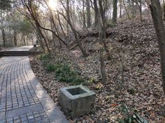 -紫金山山顶公园