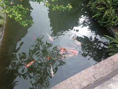 -上海虹桥宾馆味翠餐厅