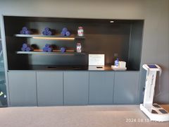 -杭州萧山国际机场凯悦嘉轩酒店