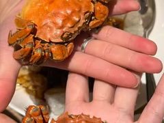 -连鹭海鲜·海肠捞饭·海胆饭(星海店)