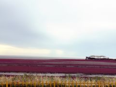 -红海滩国家风景廊道