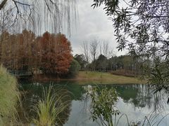 -尚贤河湿地