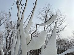 -野鸭湖国家湿地公园