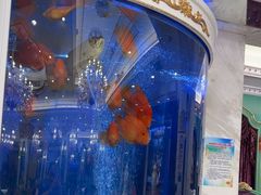 -齐家花园大酒店(宝山店)