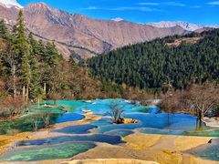 -黄龙山原始森林景区