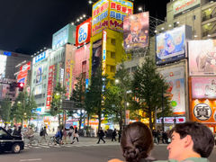 -秋叶原电器街