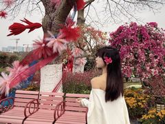 -东莞植物园