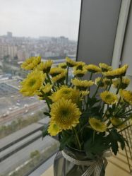 -菲秀家科技美颜SPA生活馆