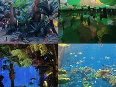 -长鹿旅游休博园