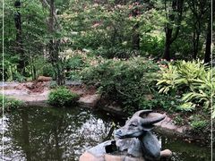 -深圳国际园林花卉博览园