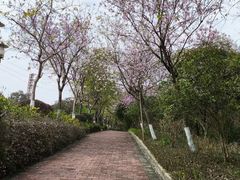 -广州莲花山旅游区