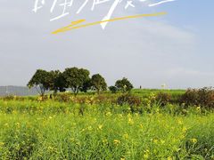 -光明小镇欢乐田园