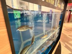 -太二酸菜鱼(石家庄万象城店)