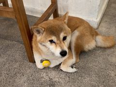 -三目仓咖啡(贤南路店)