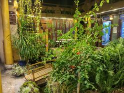 -小红帽摄影(丽江店)