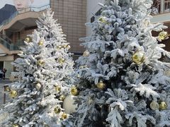 -民盈·国贸城