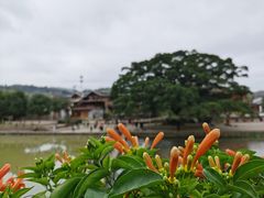 -云水谣景区