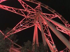 -墨尔本之星 观景摩天轮