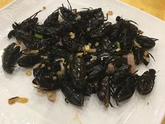 龙虱-鸿达渔港