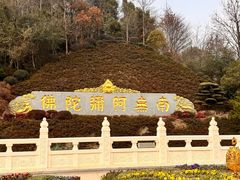 -庐山风景名胜区-东林大佛