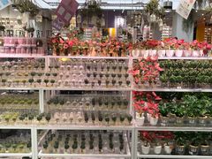 -KKV(深圳宏发大仟里店)