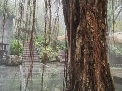 -青城道汤池
