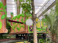 -南宫五洲植物乐园