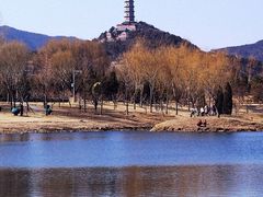 -北坞公园