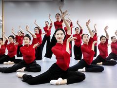 -蒲公英舞蹈艺术中心(促进路校区)