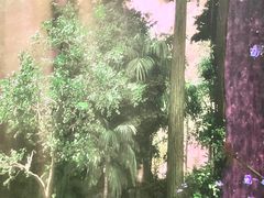 -美国自然历史博物馆