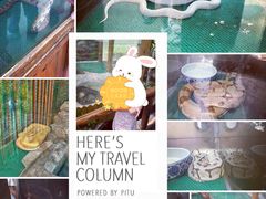 -上海大自然野生昆虫馆(东方明珠·爬宠昆虫探索中心)