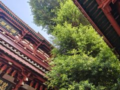 -叩齿古寺