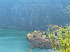 -黄埔油麻山森林公园