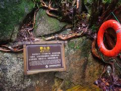 -大鄣山卧龙谷景区