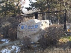 -莫子山公园