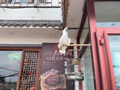 -大胡同天津菜·海肠捞饭·津门皮皮虾锅贴一绝(西姜井店)