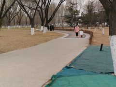 -莲花池公园