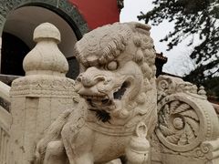 -北陵公园